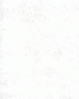 Plush Felt - White
